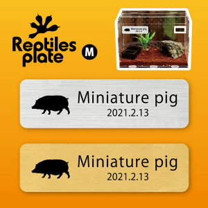 y BLACK FRIDAY P5{ z v^CY v[g MTCY y ~ju^ zP[W  v^C{bNX p  D l[v[g p_E eE ANAE 