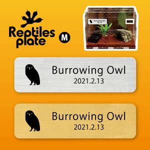 y BLACK FRIDAY P5{ z v^CY v[g MTCY y AiztNE zP[W  v^C{bNX p  D l[v[g p_E eE ANAE t