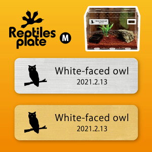 y BLACK FRIDAY P5{ z v^CY v[g MTCY y AtJIIRmnYN zP[W  v^C{bNX p  D l[v[g p_E eE ANA