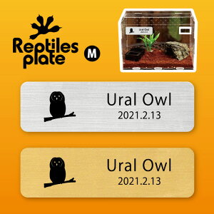 y BLACK FRIDAY P5{ z v^CY v[g MTCY y EtNE zP[W  v^C{bNX p  D l[v[g p_E eE ANAE tN