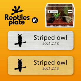 レプタイルズ プレート Mサイズ 【 ウサギフクロウ 】ケージ 水槽 レプタイルボックス 虫かご用 銘板 名札 ネームプレート パルダリウム テラリウム アクアリウム フクロウ