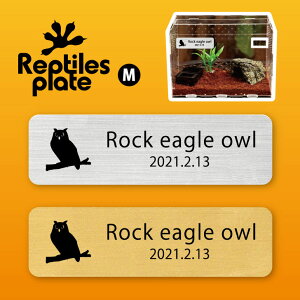 y BLACK FRIDAY P5{ z v^CY v[g MTCY y xKV~~YN zP[W  v^C{bNX p  D l[v[g p_E eE ANAE