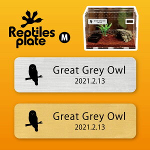 y BLACK FRIDAY P5{ z v^CY v[g MTCY y JtgtNE zP[W  v^C{bNX p  D l[v[g p_E eE ANAE t