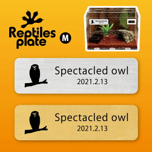 y BLACK FRIDAY P5{ z v^CY v[g MTCY y KltNE zP[W  v^C{bNX p  D l[v[g p_E eE ANAE tN