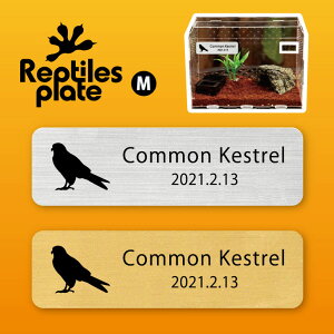 y BLACK FRIDAY P5{ z v^CY v[g MTCY y `EQ{E zP[W  v^C{bNX p  D l[v[g p_E eE ANAE ҋ