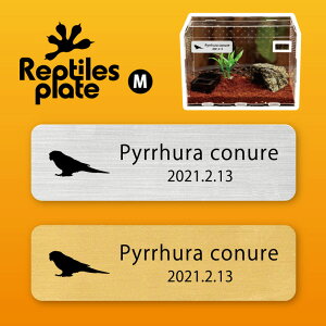 y BLACK FRIDAY P5{ z v^CY v[g MTCY y ERCR zP[W  v^C{bNX p  D l[v[g p_E eE ANAE 