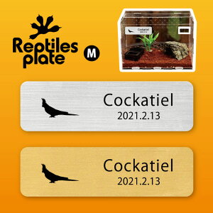 y BLACK FRIDAY P5{ z v^CY v[g MTCY y IJCR zP[W  v^C{bNX p  D l[v[g p_E eE ANAE 