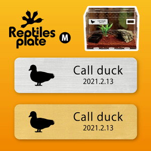 y BLACK FRIDAY P5{ z v^CY v[g MTCY y R[_bN zP[W  v^C{bNX p  D l[v[g p_E eE ANAE 