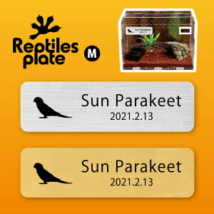 y BLACK FRIDAY P5{ z v^CY v[g MTCY y RKlLVRCR zP[W  v^C{bNX p  D l[v[g p_E eE ANAE