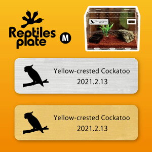 y BLACK FRIDAY P5{ z v^CY v[g MTCY y Ro^ zP[W  v^C{bNX p  D l[v[g p_E eE ANAE 