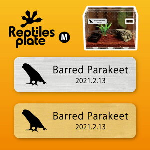 y BLACK FRIDAY P5{ z v^CY v[g MTCY y TUi~CR zP[W  v^C{bNX p  D l[v[g p_E eE ANAE 