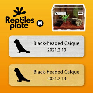 y BLACK FRIDAY P5{ z v^CY v[g MTCY y YOVnCR zP[W  v^C{bNX p  D l[v[g p_E eE ANAE