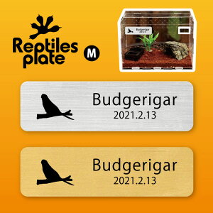 y BLACK FRIDAY P5{ z v^CY v[g MTCY y ZLZCCR zP[W  v^C{bNX p  D l[v[g p_E eE ANAE 