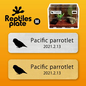 y BLACK FRIDAY P5{ z v^CY v[g MTCY y }n zP[W  v^C{bNX p  D l[v[g p_E eE ANAE 