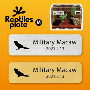 y BLACK FRIDAY P5{ z v^CY v[g MTCY y ~hRSECR zP[W  v^C{bNX p  D l[v[g p_E eE ANAE