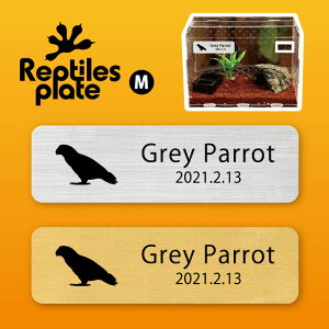 y BLACK FRIDAY P5{ z v^CY v[g MTCY y E zP[W  v^C{bNX p  D l[v[g p_E eE ANAE 