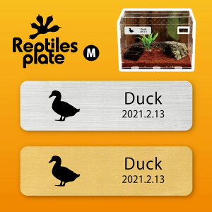 y BLACK FRIDAY P5{ z v^CY v[g MTCY y Aq zP[W  v^C{bNX p  D l[v[g p_E eE ANAE 