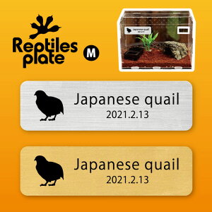 y BLACK FRIDAY P5{ z v^CY v[g MTCY y EY zP[W  v^C{bNX p  D l[v[g p_E eE ANAE 