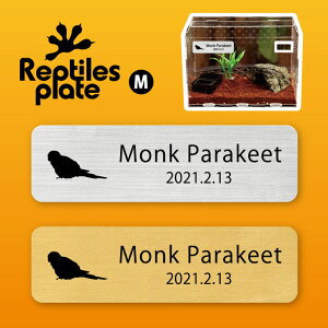 y BLACK FRIDAY P5{ z v^CY v[g MTCY y ILiCR zP[W  v^C{bNX p  D l[v[g p_E eE ANAE 