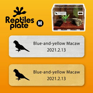 y BLACK FRIDAY P5{ z v^CY v[g MTCY y RSECR zP[W  v^C{bNX p  D l[v[g p_E eE ANAE 