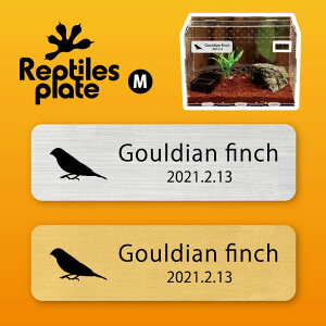 y BLACK FRIDAY P5{ z v^CY v[g MTCY y RL`E zP[W  v^C{bNX p  D l[v[g p_E eE ANAE 