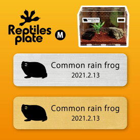 レプタイルズ プレート Mサイズ 【 アメフクラガエル 】ケージ 水槽 レプタイルボックス 虫かご用 銘板 名札 ネームプレート パルダリウム テラリウム アクアリウム 両生類