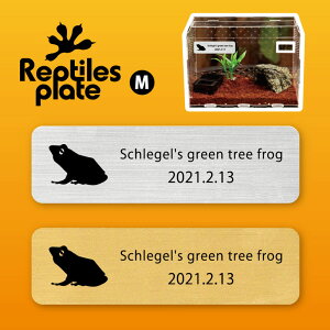 �y �X�[�p�[SALE���Ԓ� P10�{ �z ���v�^�C���Y �v���[�g M�T�C�Y �y �V�����[�Q���A�I�K�G�� �z�P�[�W ���� ���v�^�C���{�b�N�X �������p ���� ���D �l�[���v���[�g �p���_���E�� �e�����E�� 