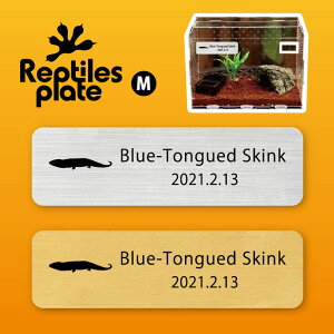 y BLACK FRIDAY P5{ z v^CY v[g MTCY y AIW^gJQ zP[W  v^C{bNX p  D l[v[g p_E eE ANAE gJ