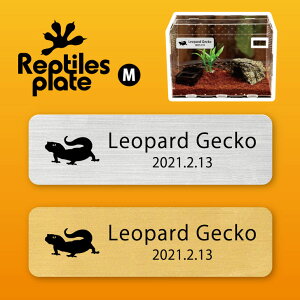 v^CY v[g MTCY y Ip[hQbR[ 2 zP[W  v^C{bNX p  D l[v[g p_E eE ANAE gJQ