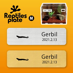 y BLACK FRIDAY P5{ z v^CY v[g MTCY y Ijv[ggJQ zP[W  v^C{bNX p  D l[v[g p_E eE ANAE 