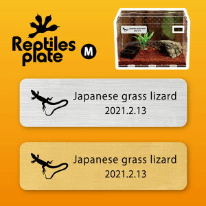 y BLACK FRIDAY P5{ z v^CY v[g MTCY y jzJiwr zP[W  v^C{bNX p  D l[v[g p_E eE ANAE ঒