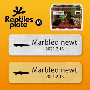 y BLACK FRIDAY P5{ z v^CY v[g MTCY y }_C zP[W  v^C{bNX p  D l[v[g p_E eE ANAE 