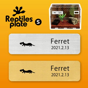 y BLACK FRIDAY P5{ z v^CY v[g STCY y tFbg@n[g zP[W  v^C{bNX p  D l[v[g p_E eE ANAE 