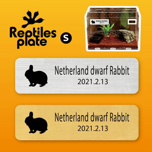 y BLACK FRIDAY P5{ z v^CY v[g STCY y lU[hh[t zP[W  v^C{bNX p  D l[v[g p_E eE ANAE