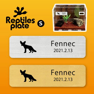 y BLACK FRIDAY P5{ z v^CY v[g STCY y tFlbN zP[W  v^C{bNX p  D l[v[g p_E eE ANAE 