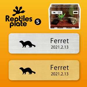 v^CY v[g STCY y tFbg zP[W  v^C{bNX p  D l[v[g p_E eE ANAE 