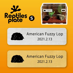 y BLACK FRIDAY P5{ z v^CY v[g STCY y AJt@W[bv zP[W  v^C{bNX p  D l[v[g p_E eE ANA