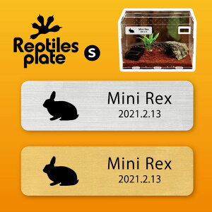 y BLACK FRIDAY P5{ z v^CY v[g STCY y ~jbLX zP[W  v^C{bNX p  D l[v[g p_E eE ANAE 