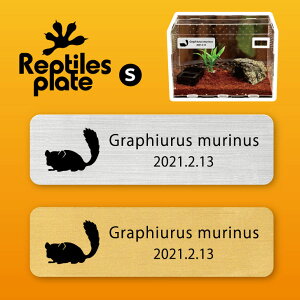 y BLACK FRIDAY P5{ z v^CY v[g STCY y AtJ}l zP[W  v^C{bNX p  D l[v[g p_E eE ANAE 