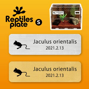 y BLACK FRIDAY P5{ z v^CY v[g STCY y II~rgrlY~ zP[W  v^C{bNX p  D l[v[g p_E eE ANAE