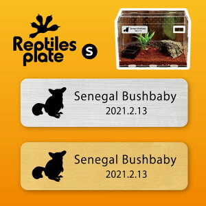 y BLACK FRIDAY P5{ z v^CY v[g STCY y VEKS zP[W  v^C{bNX p  D l[v[g p_E eE ANAE 