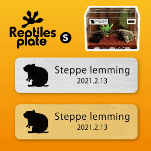 y BLACK FRIDAY P5{ z v^CY v[g STCY y Xebv~O zP[W  v^C{bNX p  D l[v[g p_E eE ANAE 