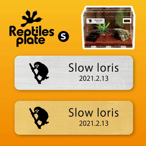 y BLACK FRIDAY P5{ z v^CY v[g STCY y X[X zP[W  v^C{bNX p  D l[v[g p_E eE ANAE 