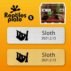 y BLACK FRIDAY P5{ z v^CY v[g STCY y i}Pm zP[W  v^C{bNX p  D l[v[g p_E eE ANAE 