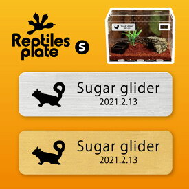 楽天市場 パルダリウム ケージの通販