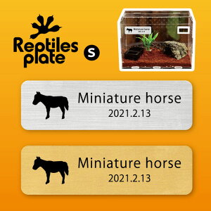 y BLACK FRIDAY P5{ z v^CY v[g STCY y ~j`Az[X zP[W  v^C{bNX p  D l[v[g p_E eE ANAE 