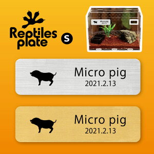 y BLACK FRIDAY P5{ z v^CY v[g STCY y }CNu^ zP[W  v^C{bNX p  D l[v[g p_E eE ANAE 