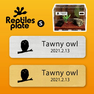 y BLACK FRIDAY P5{ z v^CY v[g STCY y tNE zP[W  v^C{bNX p  D l[v[g p_E eE ANAE tN