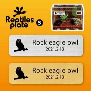 y BLACK FRIDAY P5{ z v^CY v[g STCY y xKV~~YN zP[W  v^C{bNX p  D l[v[g p_E eE ANAE