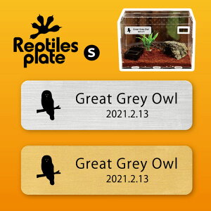 y BLACK FRIDAY P5{ z v^CY v[g STCY y JtgtNE zP[W  v^C{bNX p  D l[v[g p_E eE ANAE t